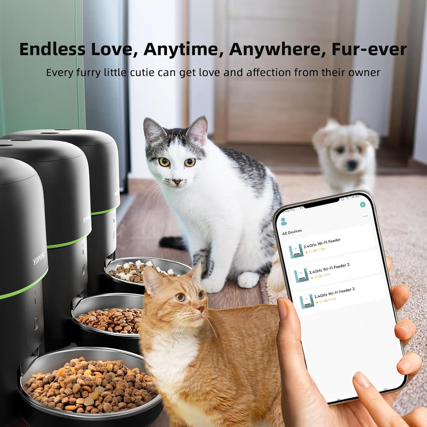 Automatic Cat Feeder