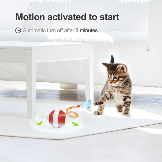 Agile Moving Cat Ball