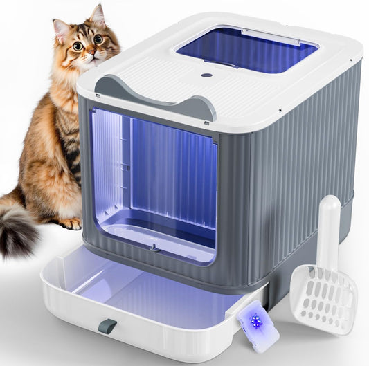 Cat Litter Box