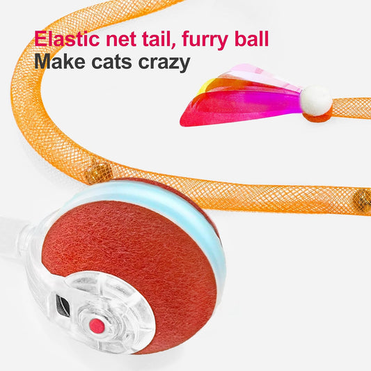 Agile Moving Cat Ball