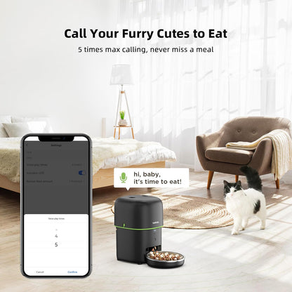 Automatic Cat Feeder